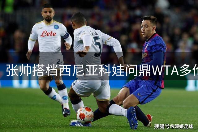 张帅搭档西尼亚科娃问鼎WTA多伦多站 收获女双桂冠